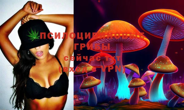 метамфетамин Белокуриха
